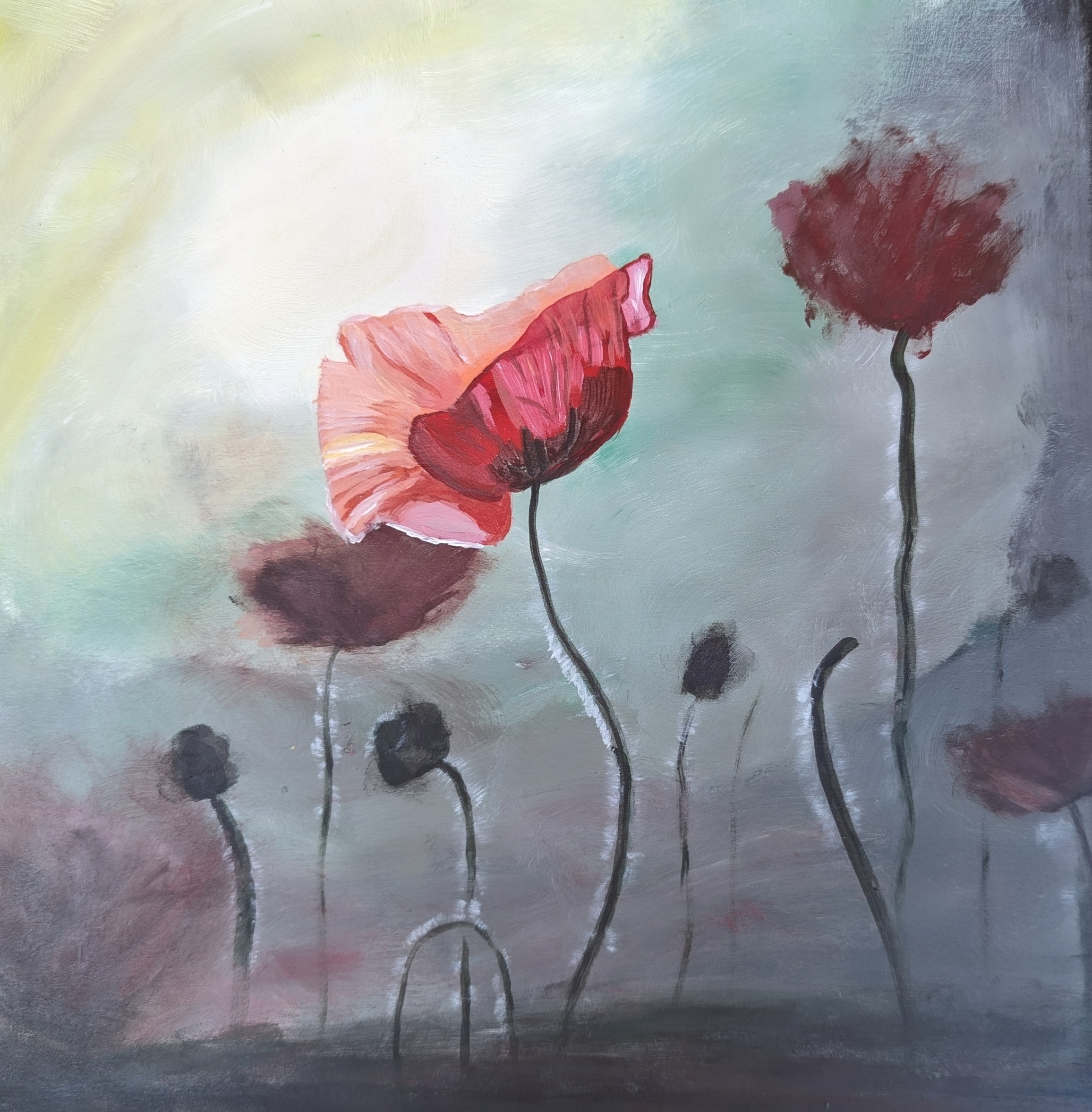 Poppy Field
