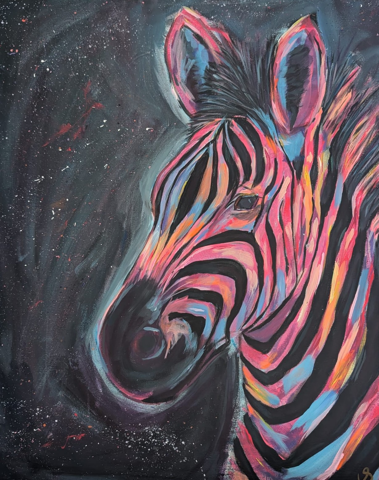 zebra.01